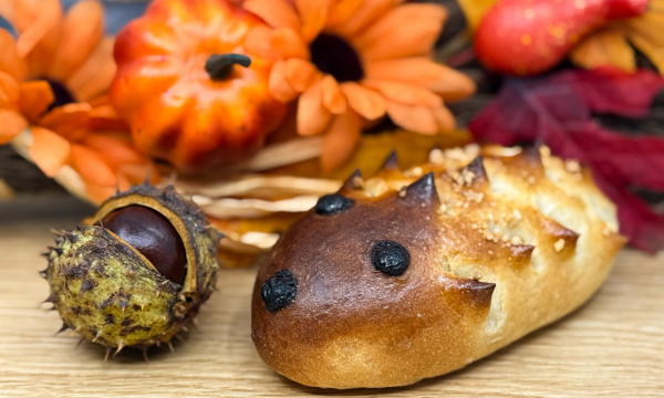 Süssteigigeli Oktober 2025